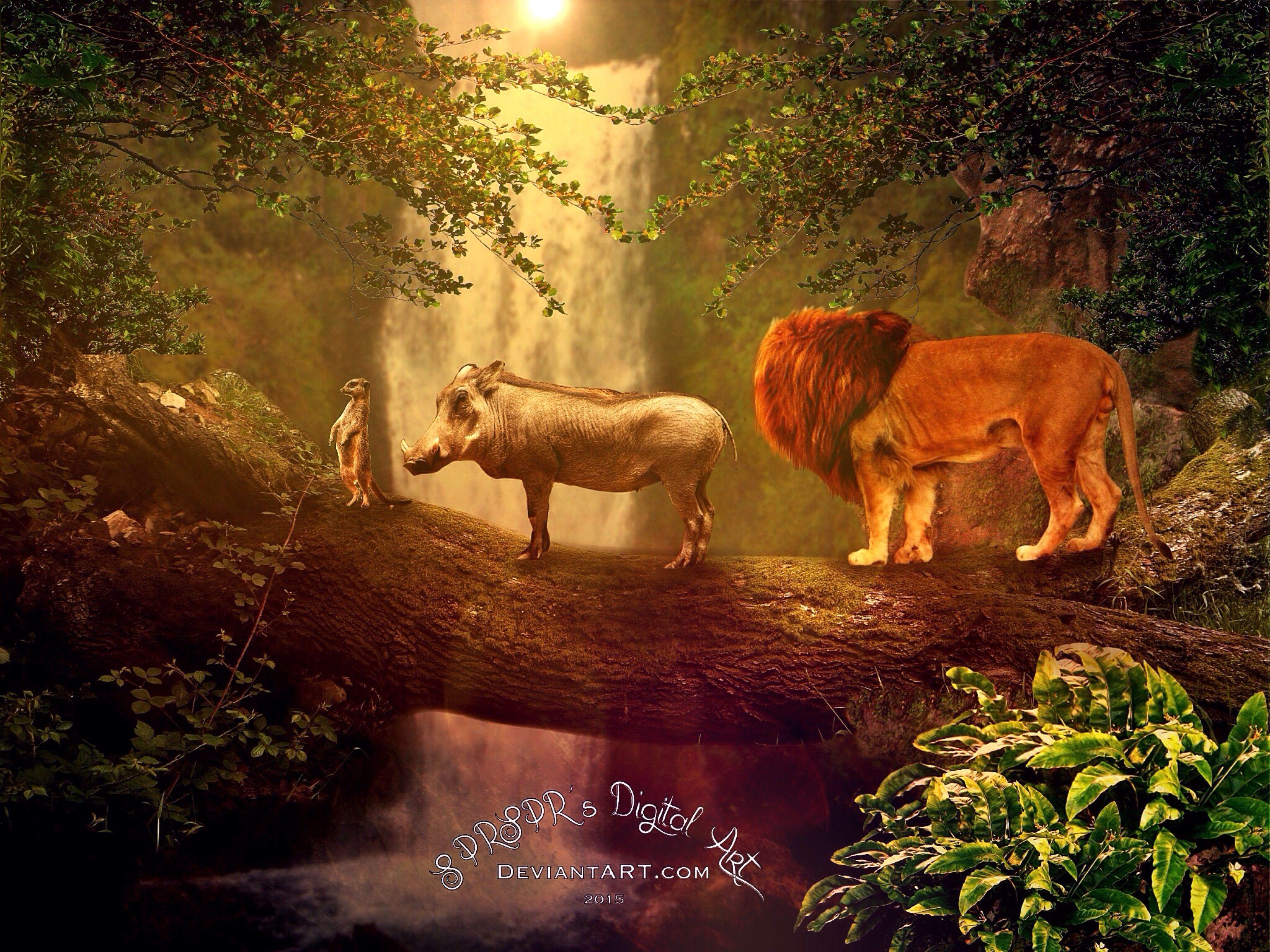 3072x2304 Hakuna Matata Wallpaper Tumblr