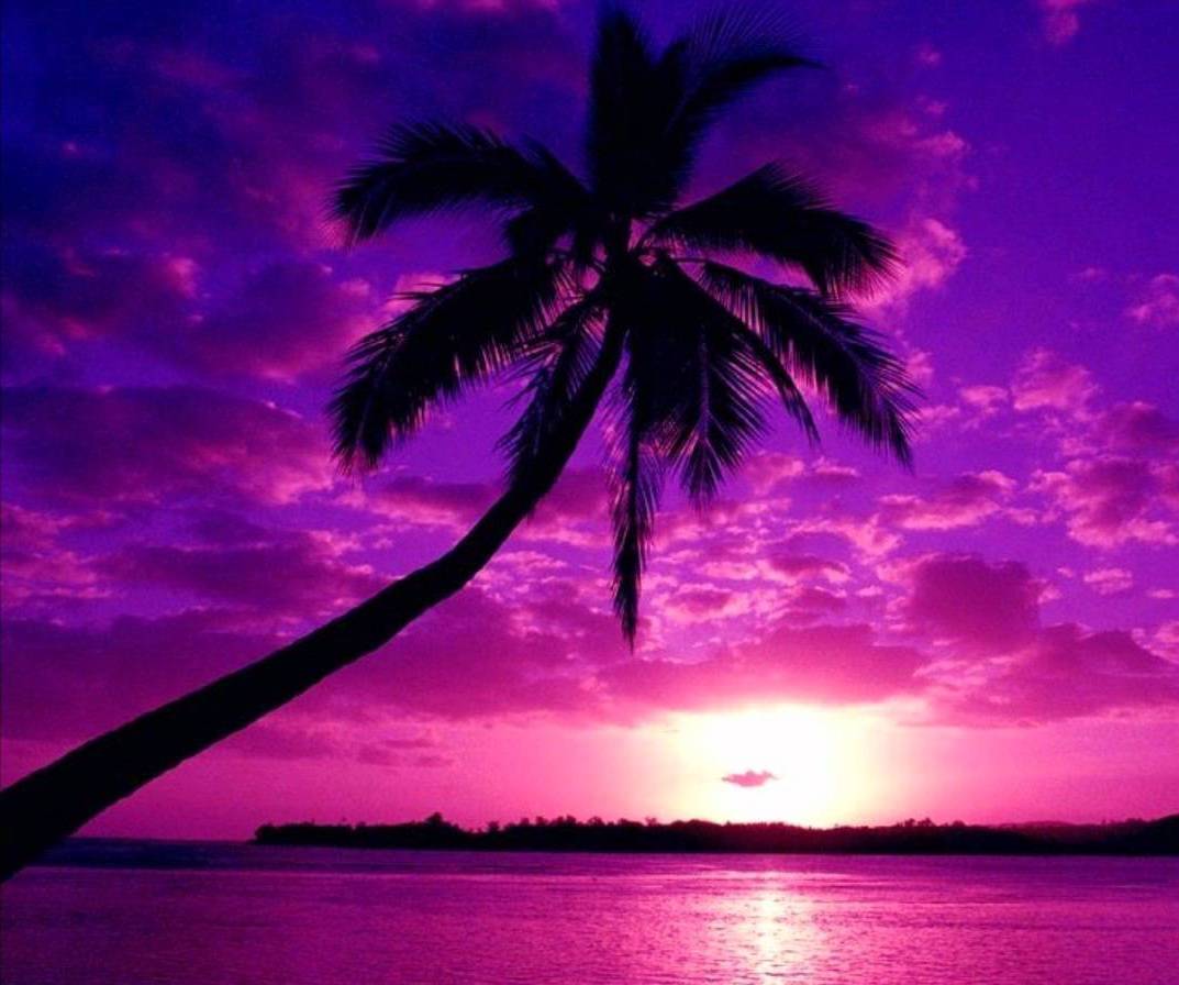 Ocean Purple Sunset Wallpapers Top Free Ocean Purple Sunset Backgrounds Wallpaperaccess 0380