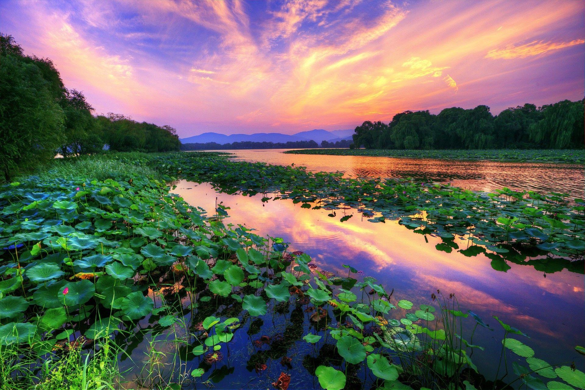 Lotus Landscape Wallpapers Top Free Lotus Landscape Backgrounds