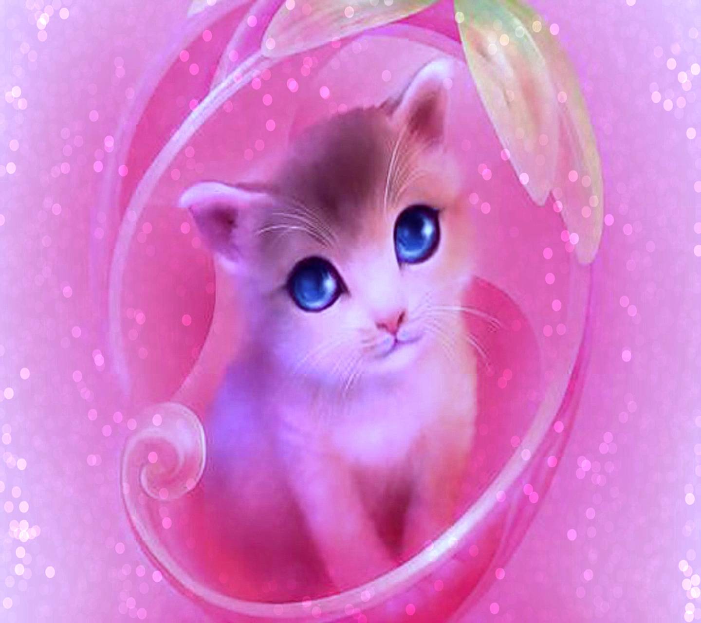 Pink Cat Desktop Wallpapers - Top Free Pink Cat Desktop Backgrounds ...