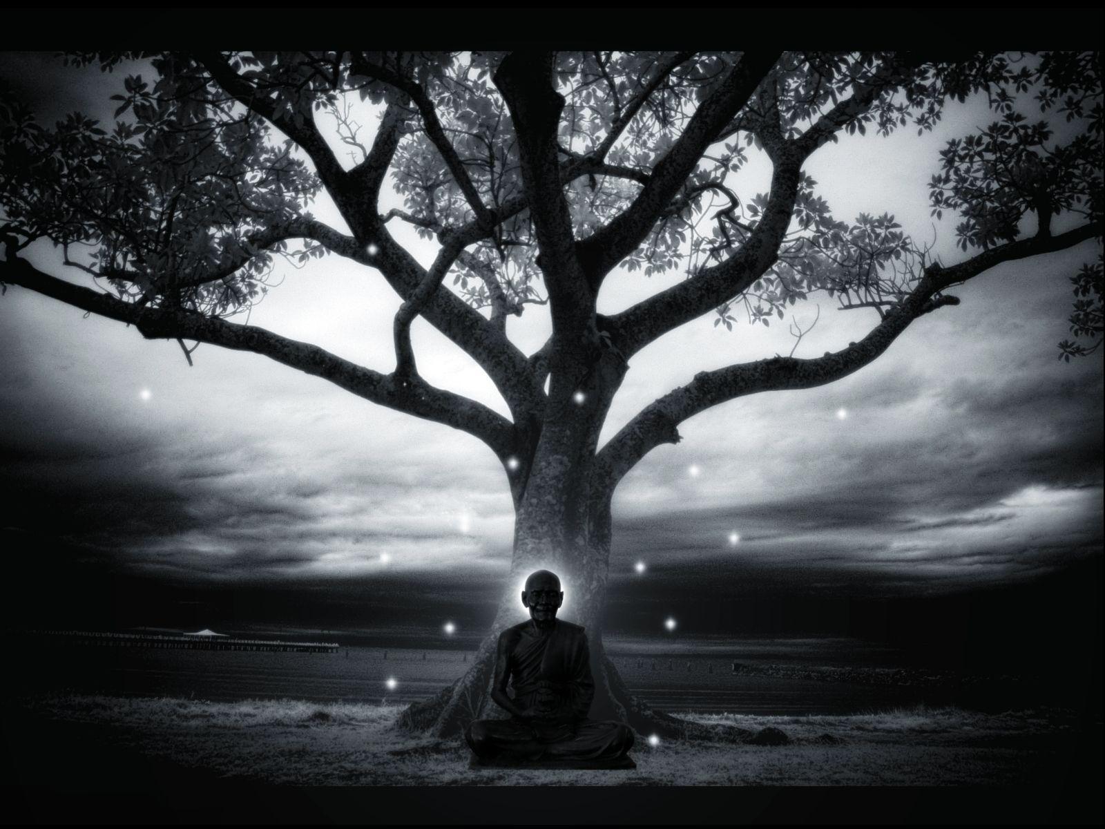 1600x1200 Meditation for Strivers