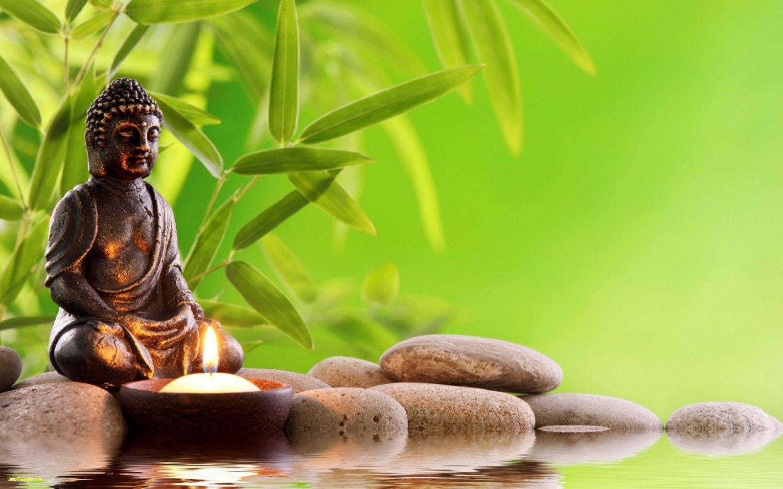 1600x1000 Zen Wallpaper HD Image Zen