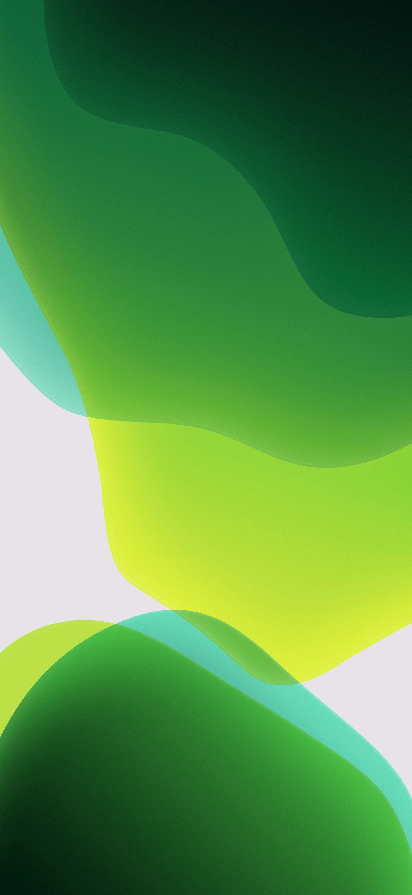 1436x3113 IOS 13 Wallpaper
