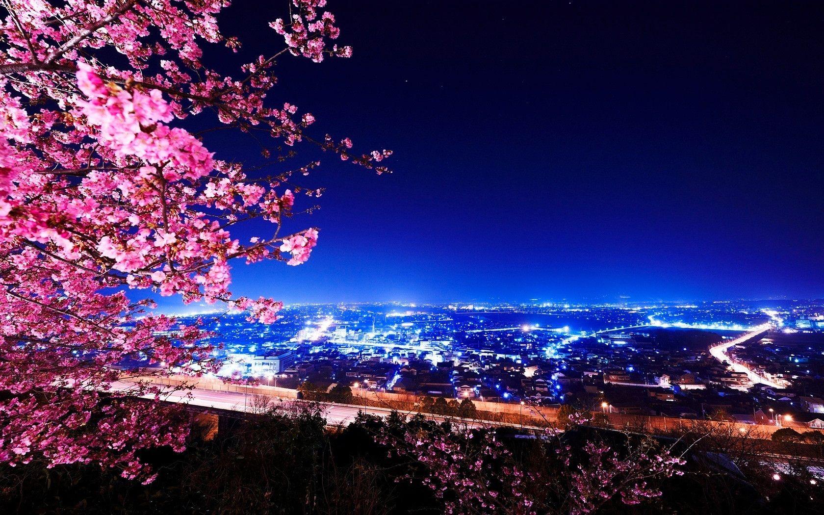 1680x1050 Free download Beautiful City View at Night wallpaper55com Best Wallpaper for [1680x1050] for your Desktop, Mobile & Tablet. Explore Beautiful views Wallpaper. Beautiful Desktop Wallpaper, Beautiful Free Wallpaper for