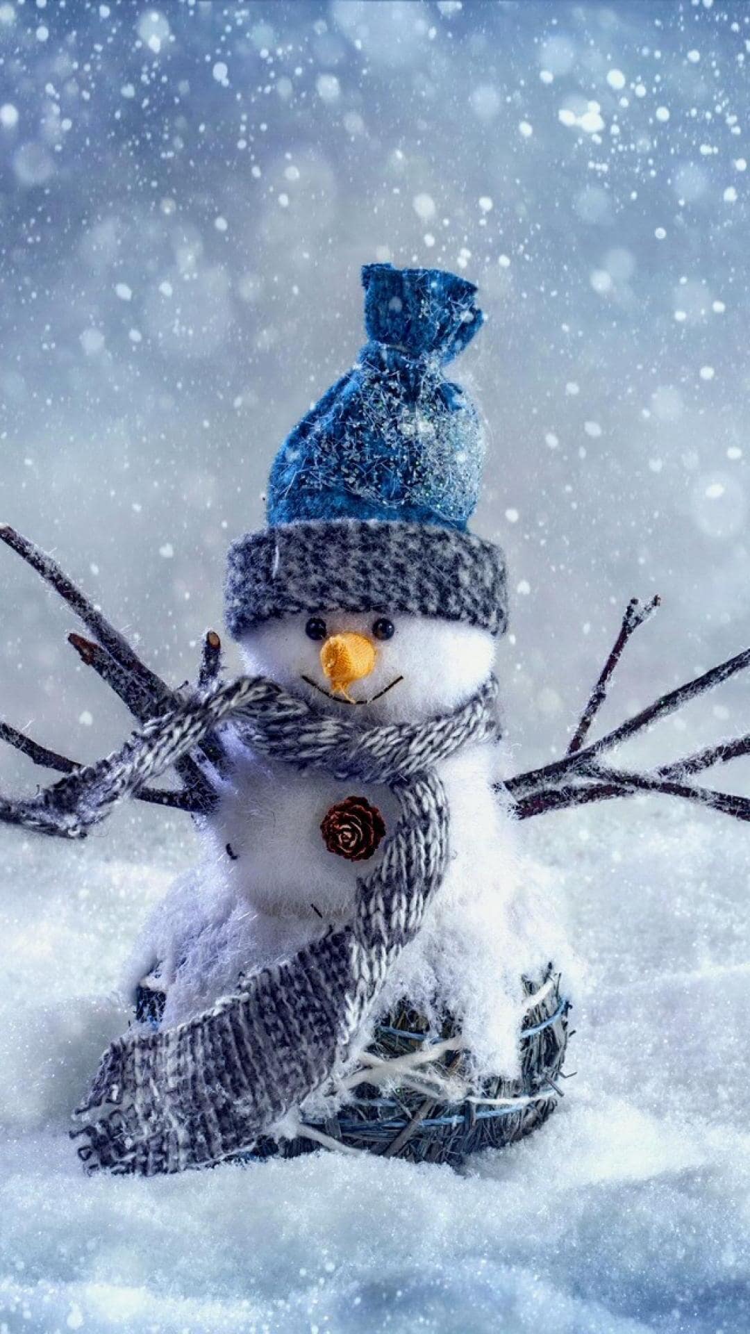 1080x1920 Winter Desktop Wallpaper