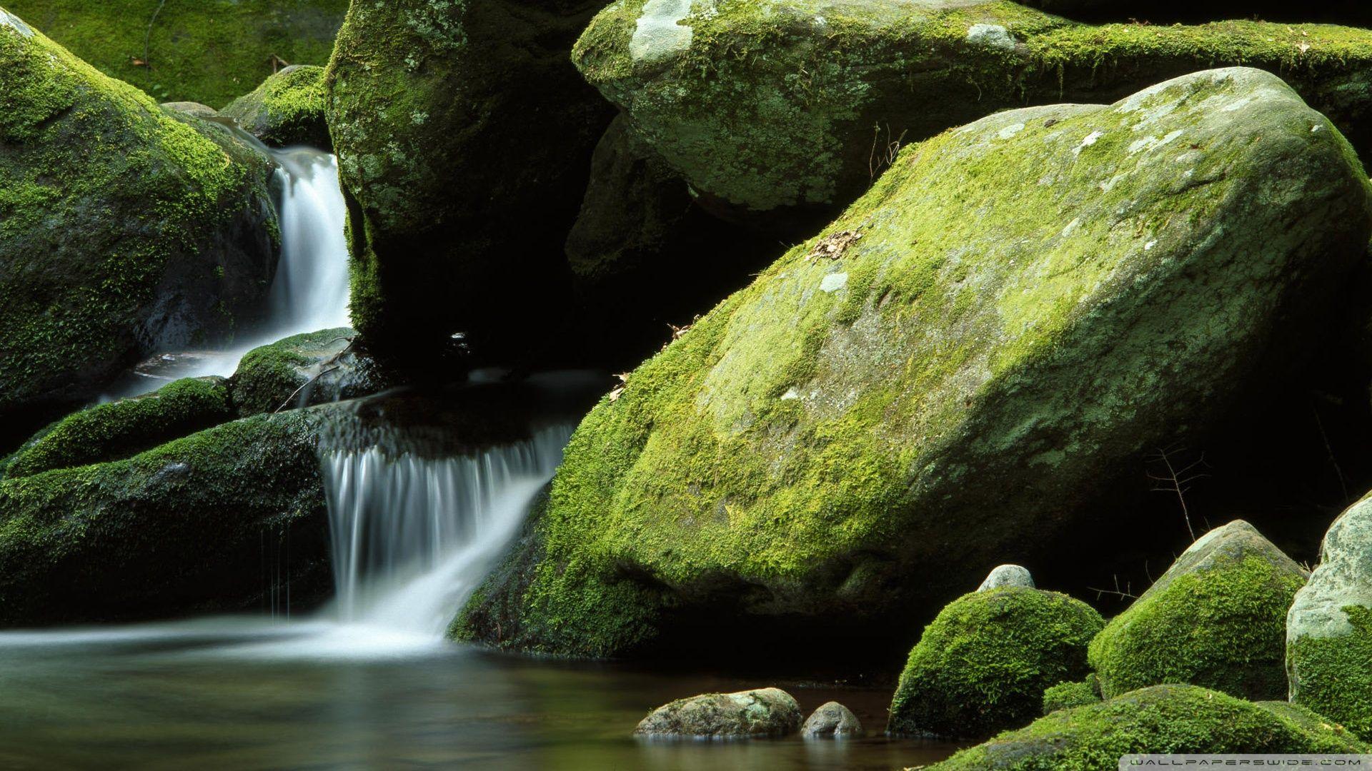 1920x1080 Moss Rocks ❤ 4K HD Desktop Wallpaper for 4K Ultra HD TV • Tablet