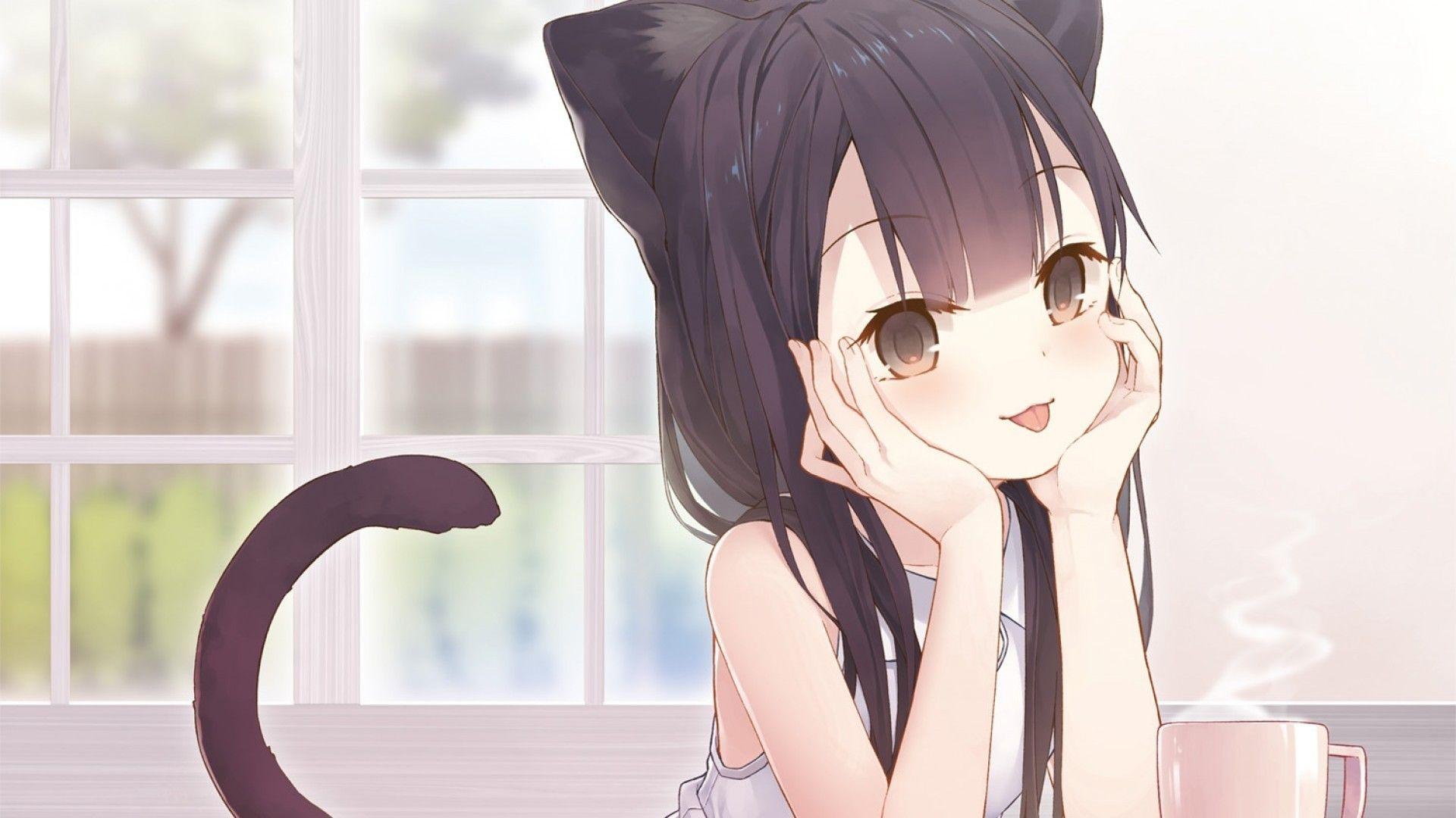 1920 X 1080 Anime Cat Girl Wallpapers - Top Free 1920 X 1080 Anime Cat Girl  Backgrounds - WallpaperAccess