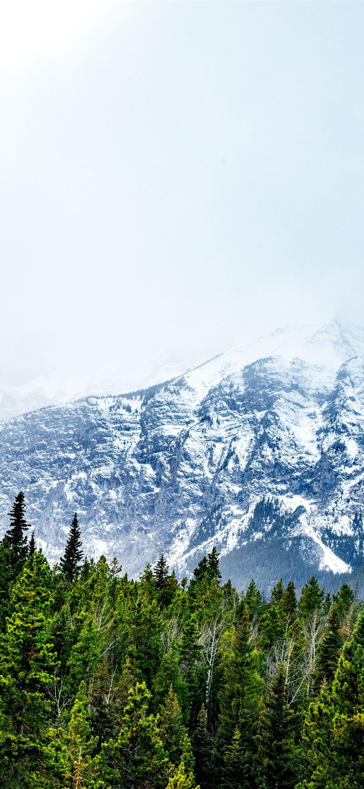 1242x2688 iPhone Wallpaper Snowy Mountains, Forest, Fog Snow Mountain