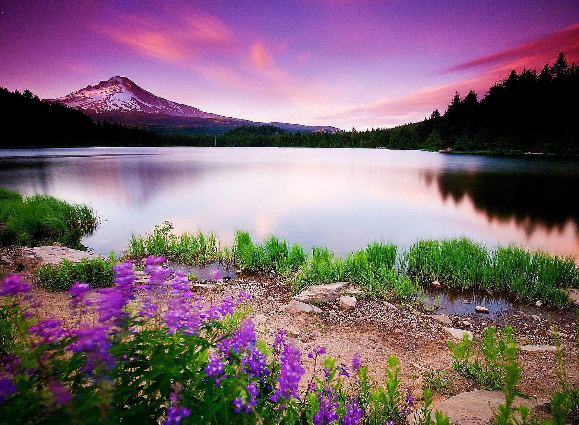 1920x1408 1920x Free Mountain Scene Wallpaper HD Background