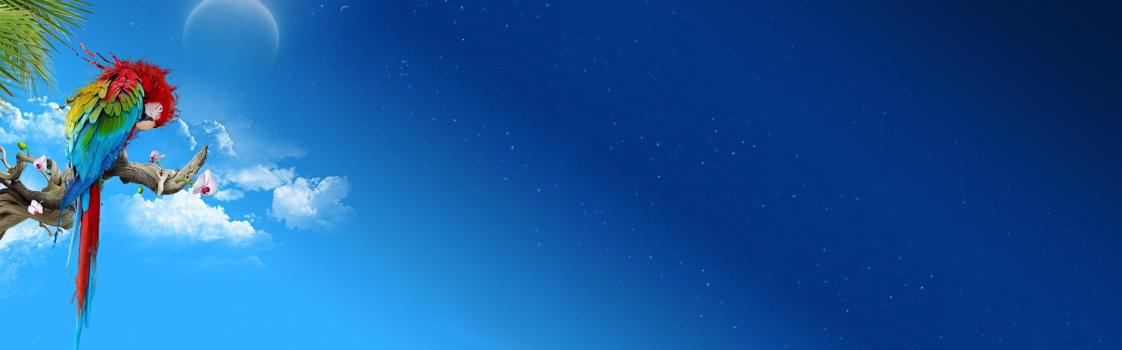 3840x1200 Wallpaper
