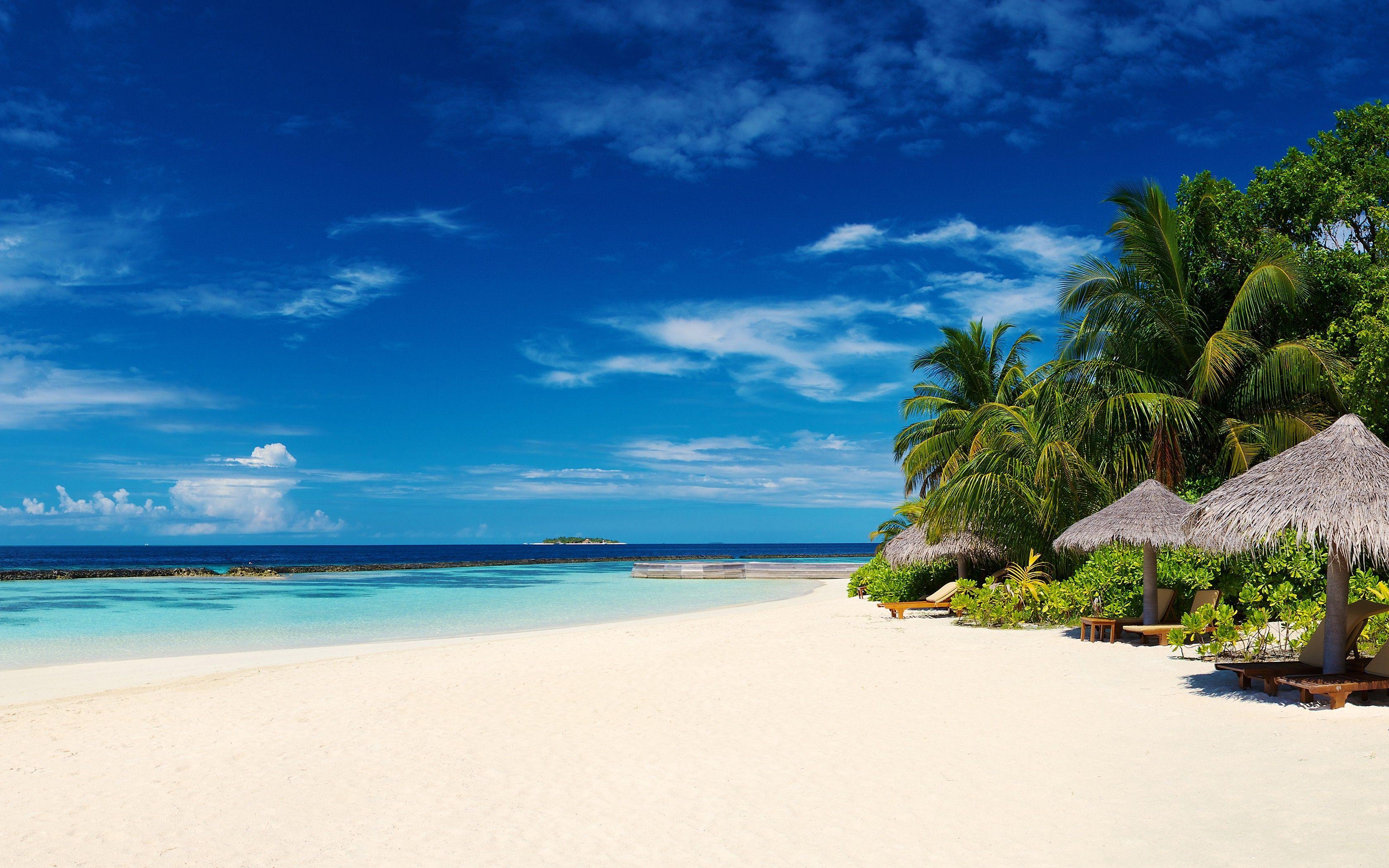 3360x2100 Free download Beach in the Maldives HD Wallpaper Background Image 3360x2100 [3360x2100] for your Desktop, Mobile & Tablet. Explore 3360X2100 WallpaperX2100 Wallpaper