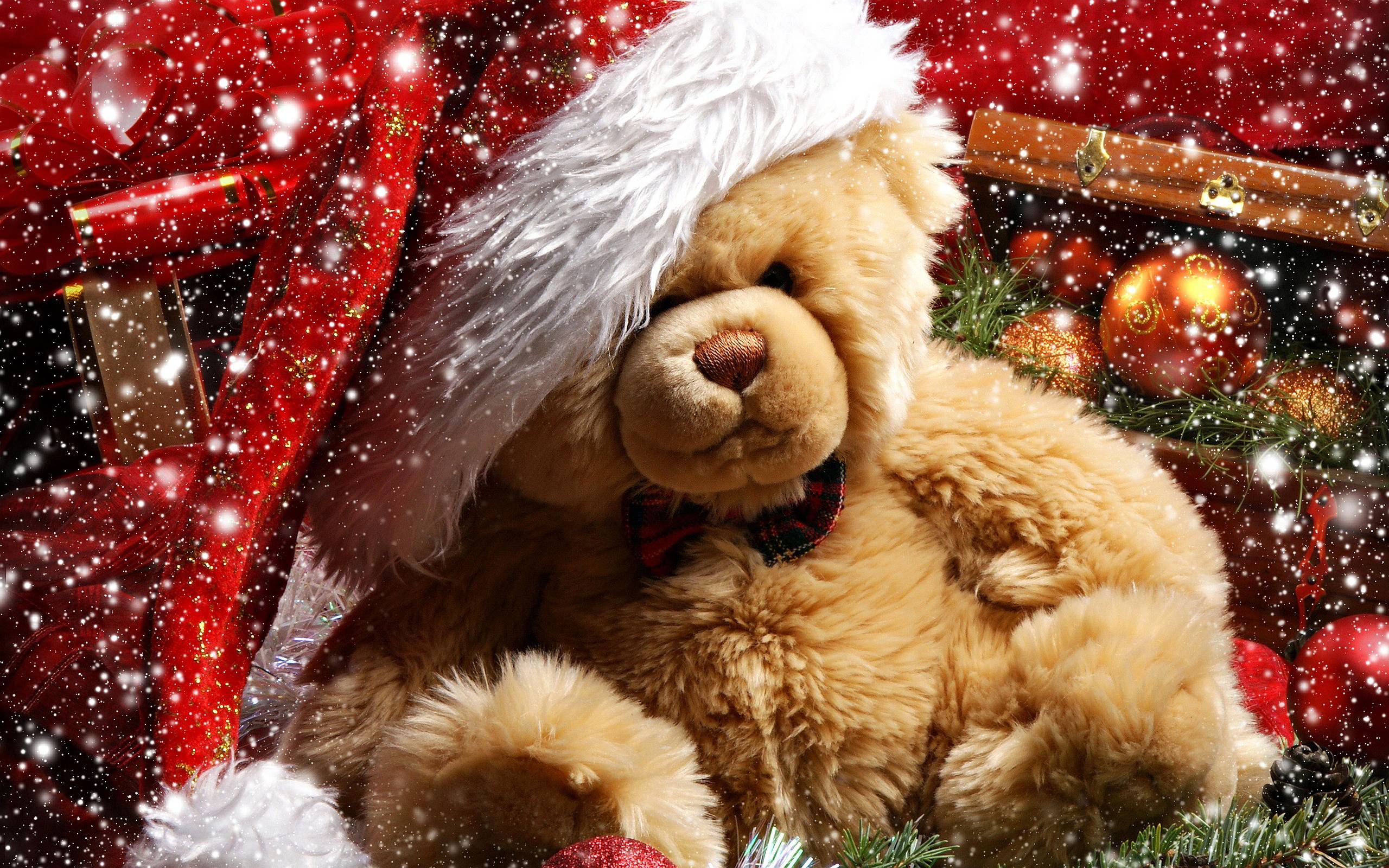 2560x1600 Teddy Bear Wallpaper