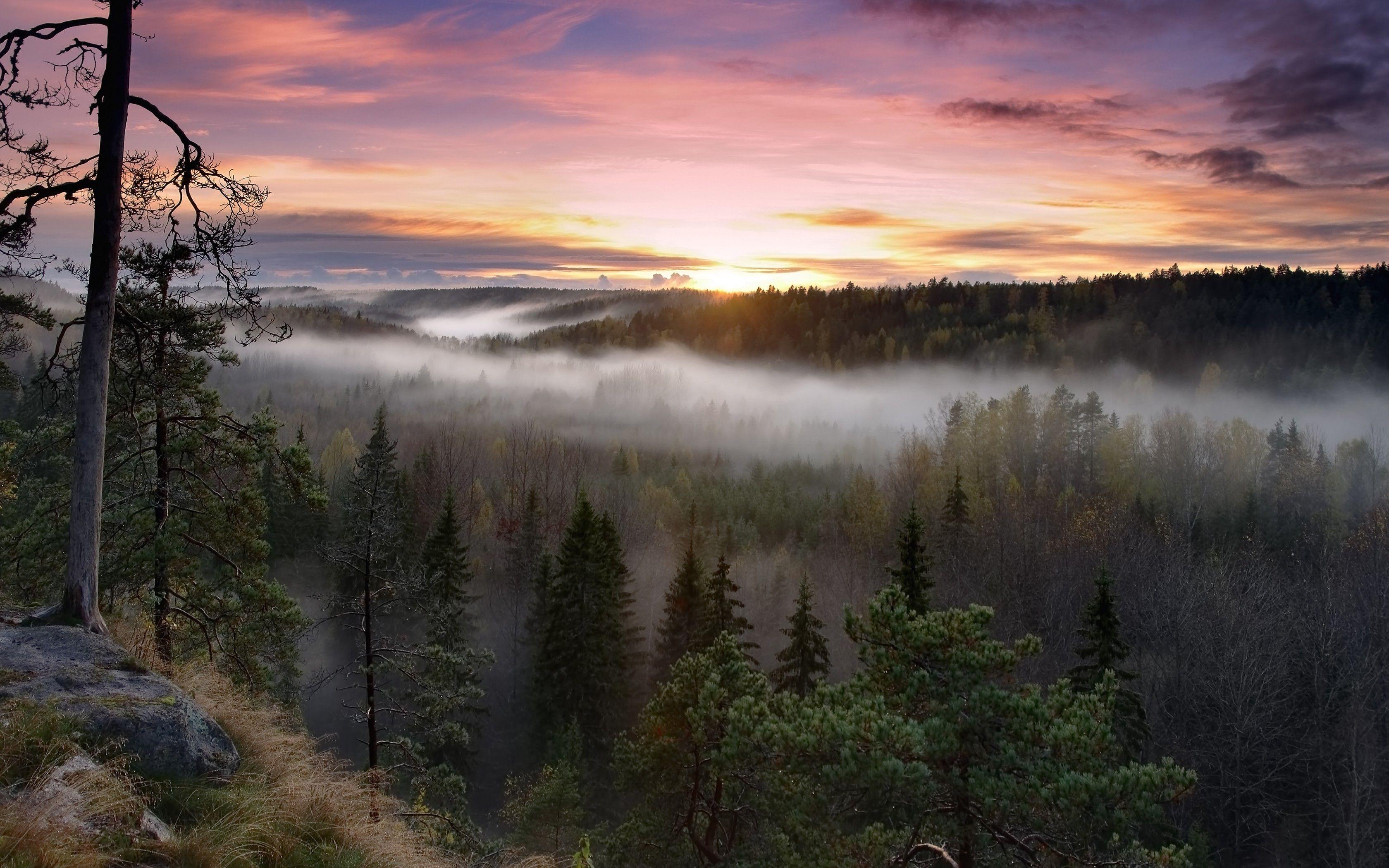 3360x2100 Finland Nature Wallpaper HD HD Wallpaper