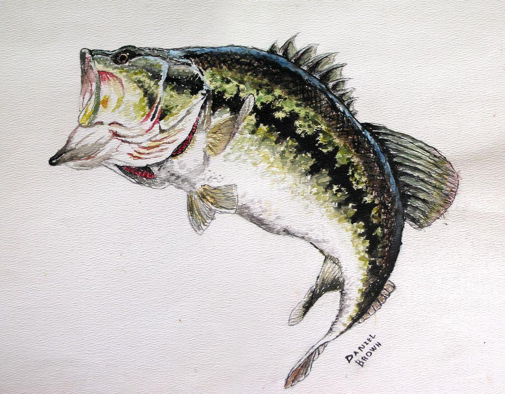 1024x800 Free Largemouth Bass Wallpaper