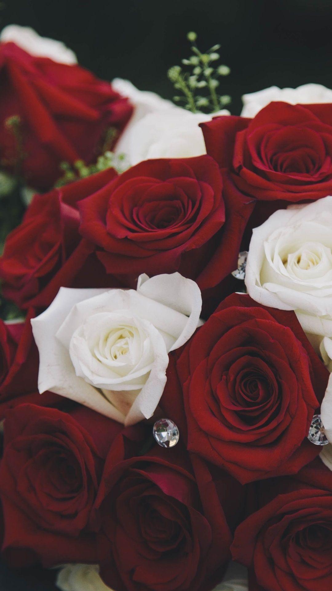 1080x1920 Red and White Roses Wallpaper
