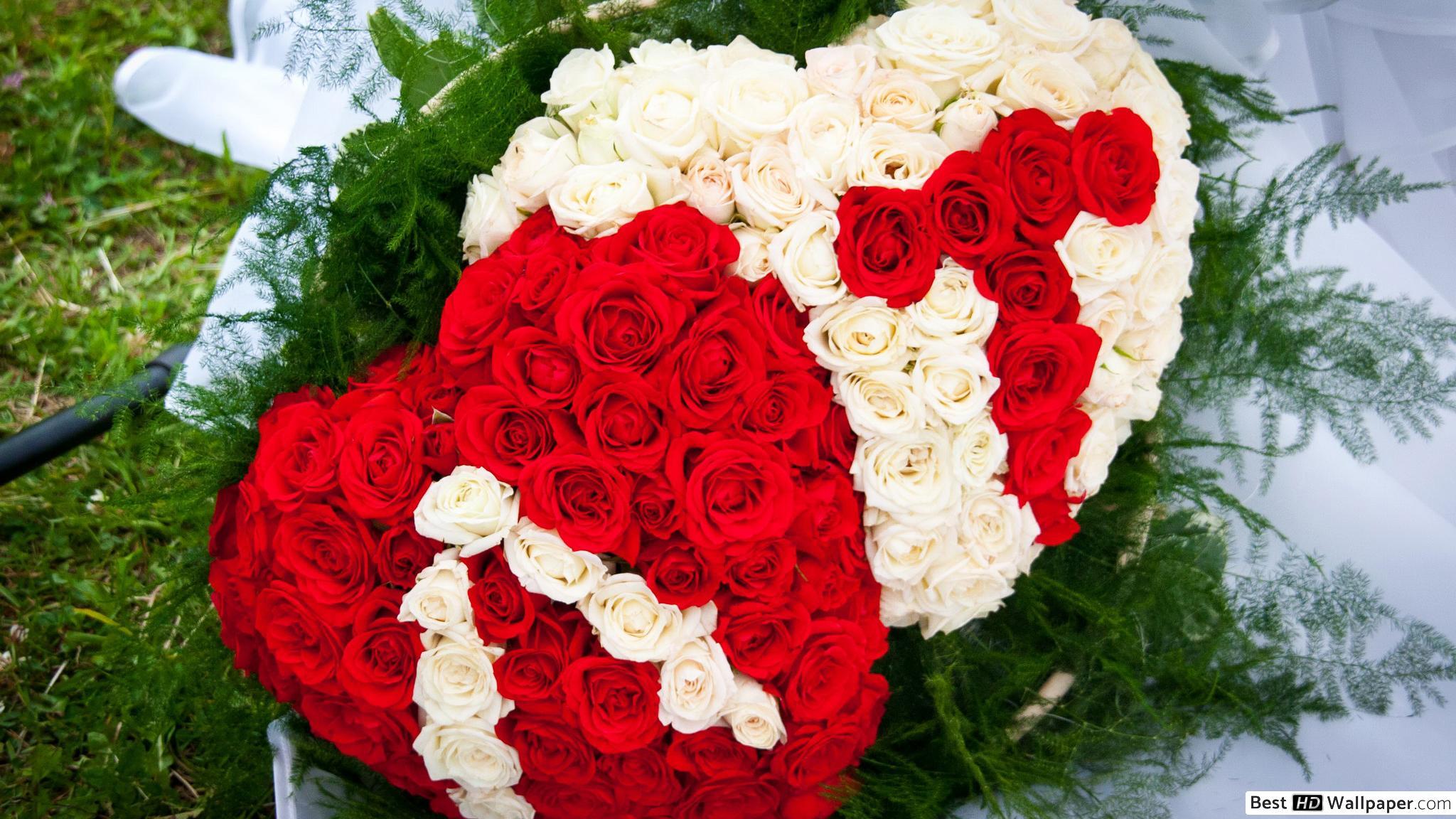2048x1152 Valentine's day shaped red and white roses HD wallpaper download