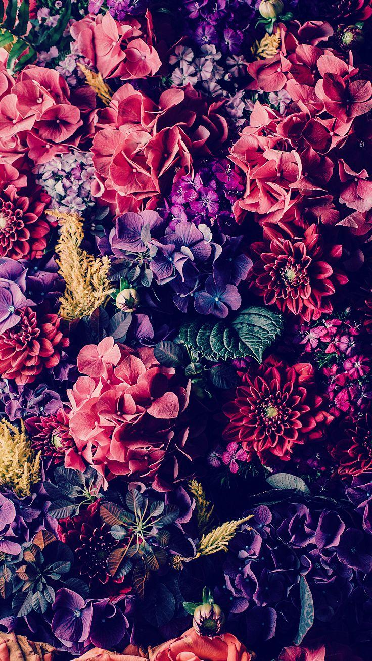 736x1308 Gorgeous iPhone 7 & 7 Plus Wallpaper