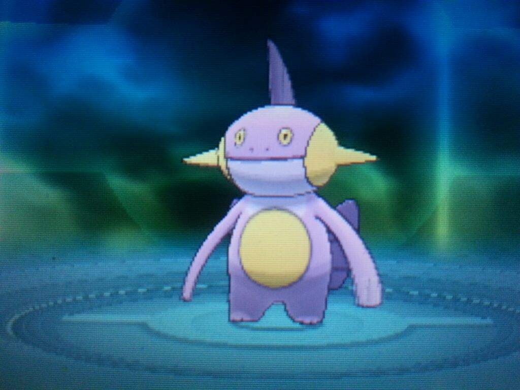 1024x768 Second Shiny Mudkip!!. Pokémon Amino
