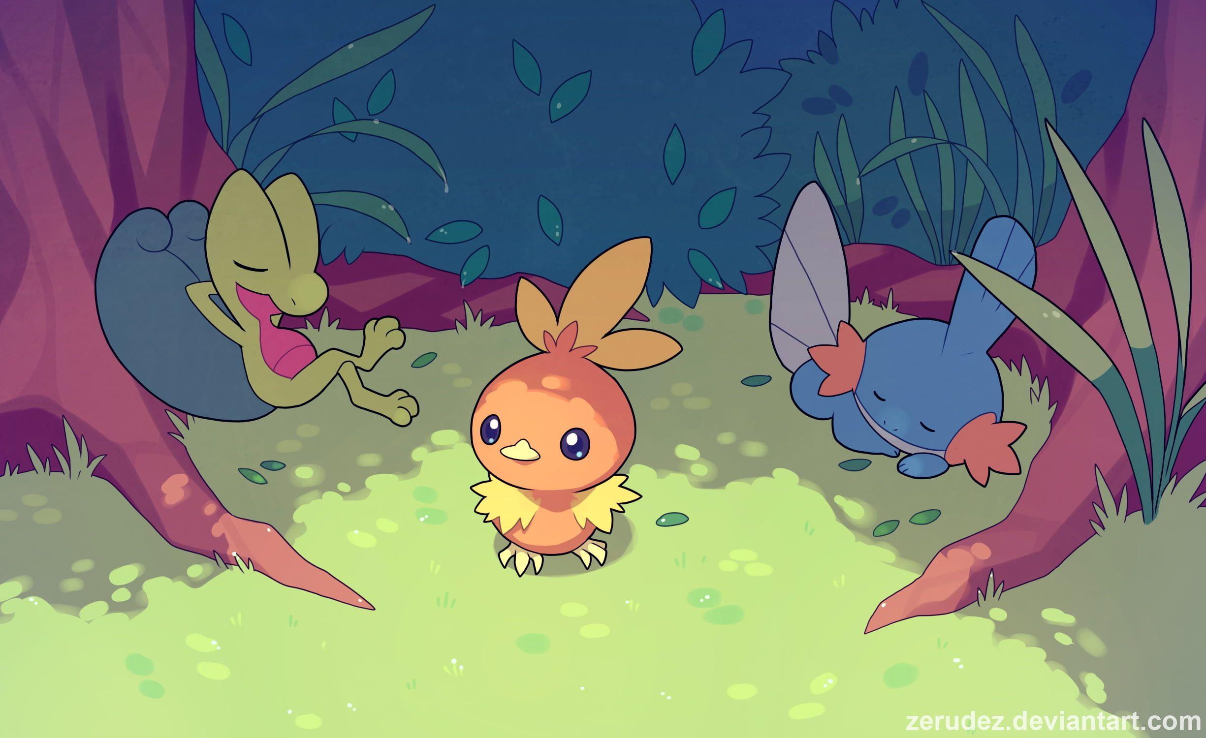 2450x1500 Mudkip Wallpaper background picture