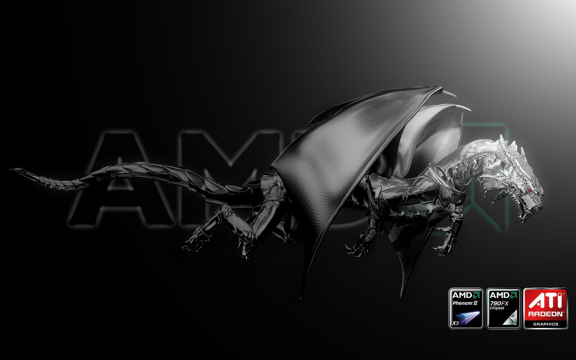 AMD Dragon Wallpapers - Top Free AMD Dragon Backgrounds - WallpaperAccess