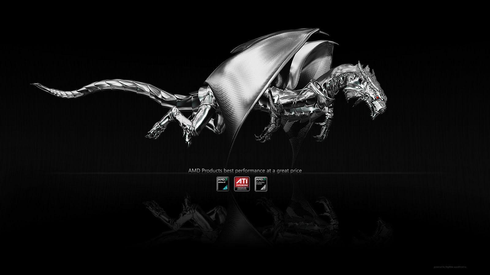 AMD Dragon Wallpapers - Top Free AMD Dragon Backgrounds - WallpaperAccess