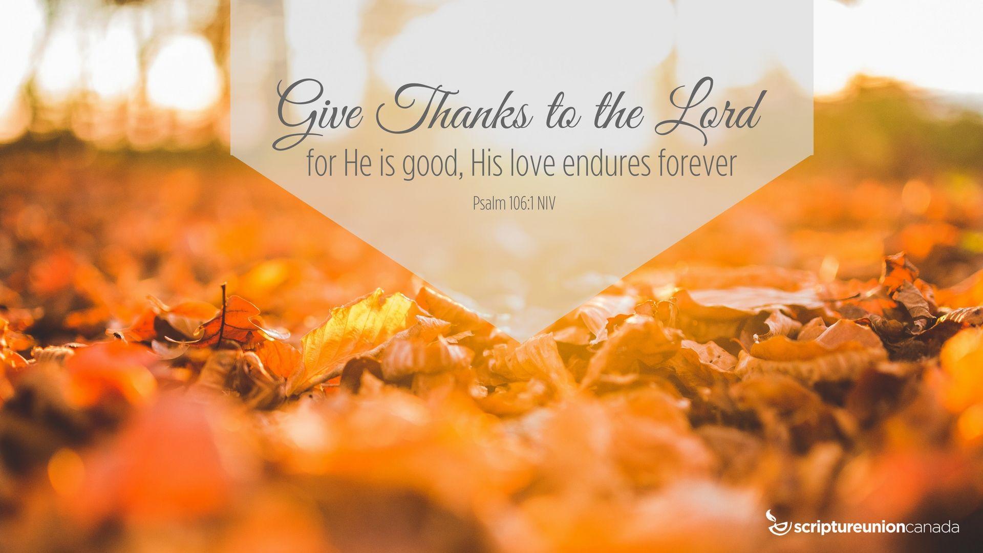 praise and thanksgiving scriptures