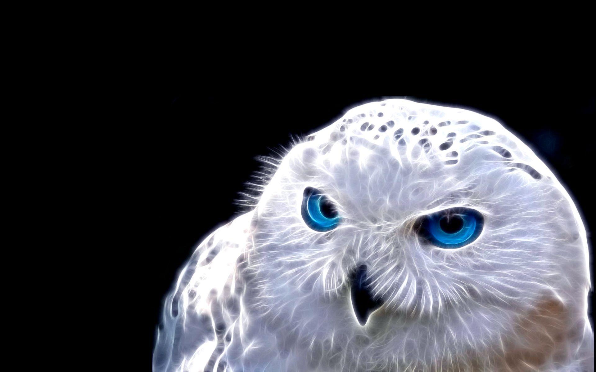 1920x1200 Art White Owl Blue. Owl Wallpaper, White Owl, Eyes Wallpaper