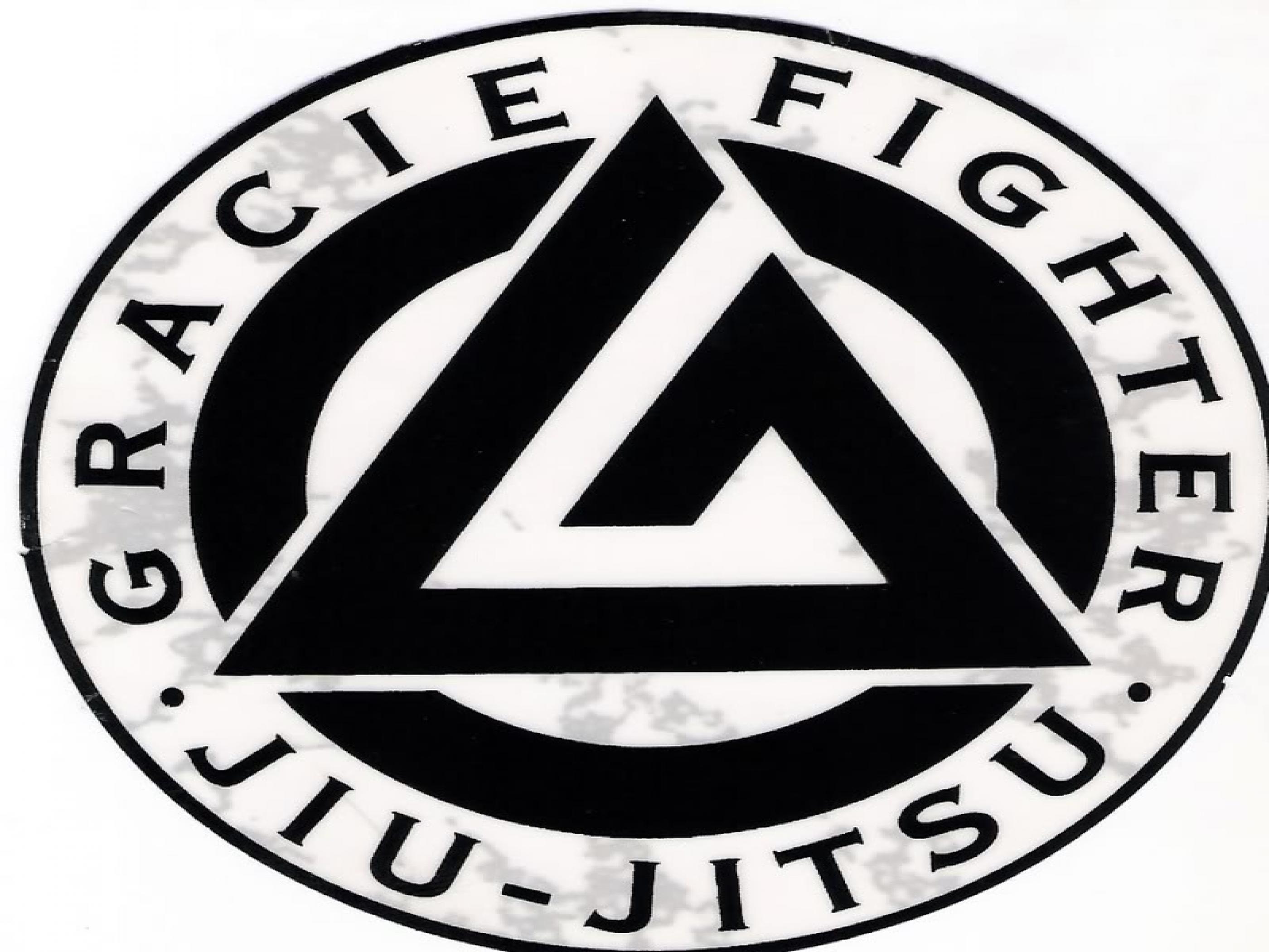2800x2100 Gracie Jiu Jitsu Wallpaper HD Wallpaper