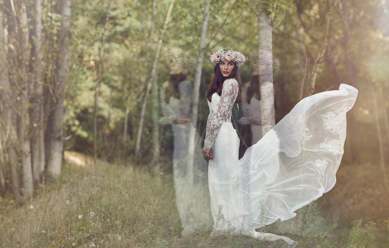 1332x850 Bridal Wreath Wallpaper