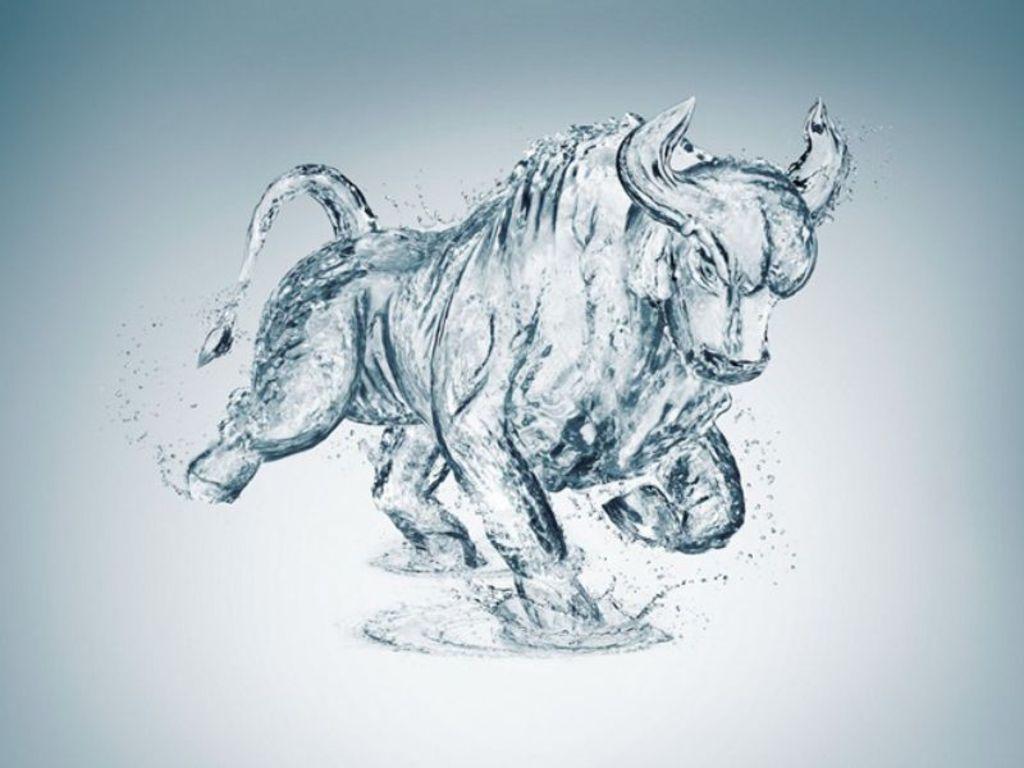 1024x768 Free download Pics For gt Blue Bulls Wallpaper HD [1024x768] for your Desktop, Mobile & Tablet. Explore Blue Bulls Wallpaper. Red Bull Wallpaper, New York Red Bulls Wallpaper, Pit Bull Wallpaper