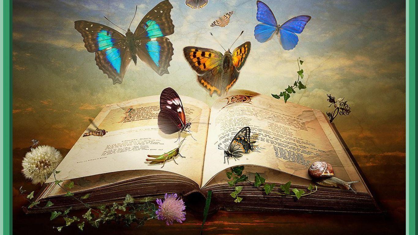 Book Art Wallpapers Top Free Book Art Backgrounds WallpaperAccess
