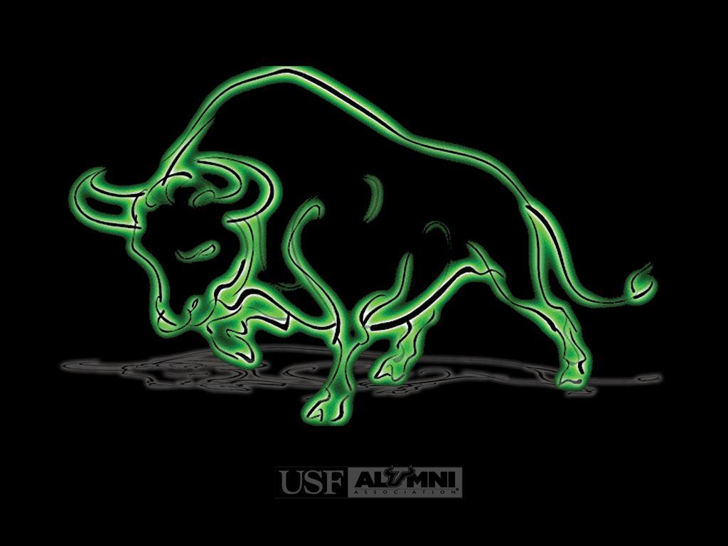 1024x768 USF Wallpaper. Company of Heroes 2 USF Wallpaper, USF Bulls Wallpaper and USF Wallpaper