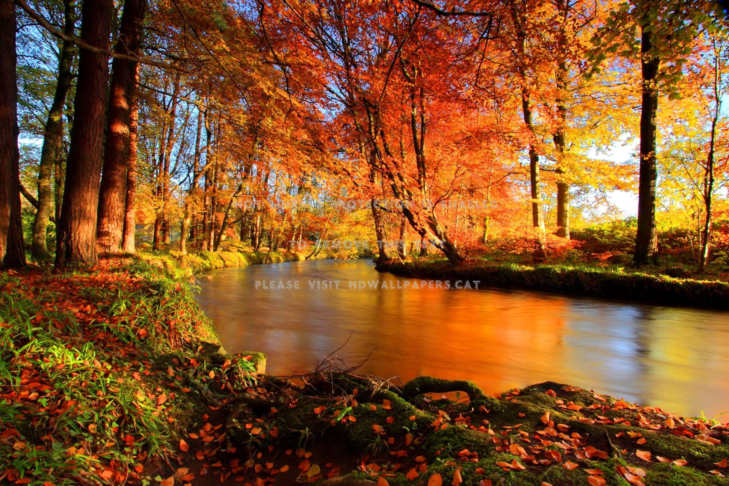 Autumn Creek Wallpapers - Top Free Autumn Creek Backgrounds ...