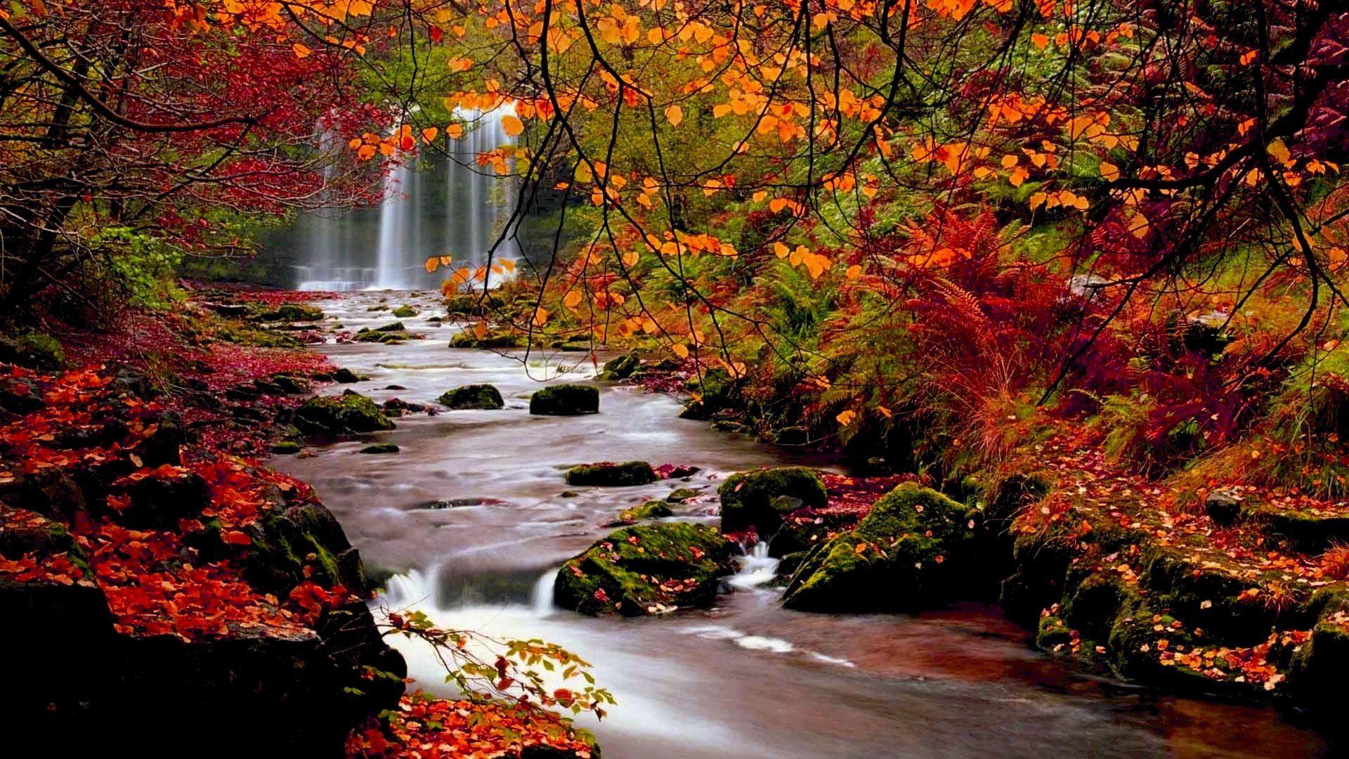 1920x1080 Fall Landscape Wallpaper Windows 10 .