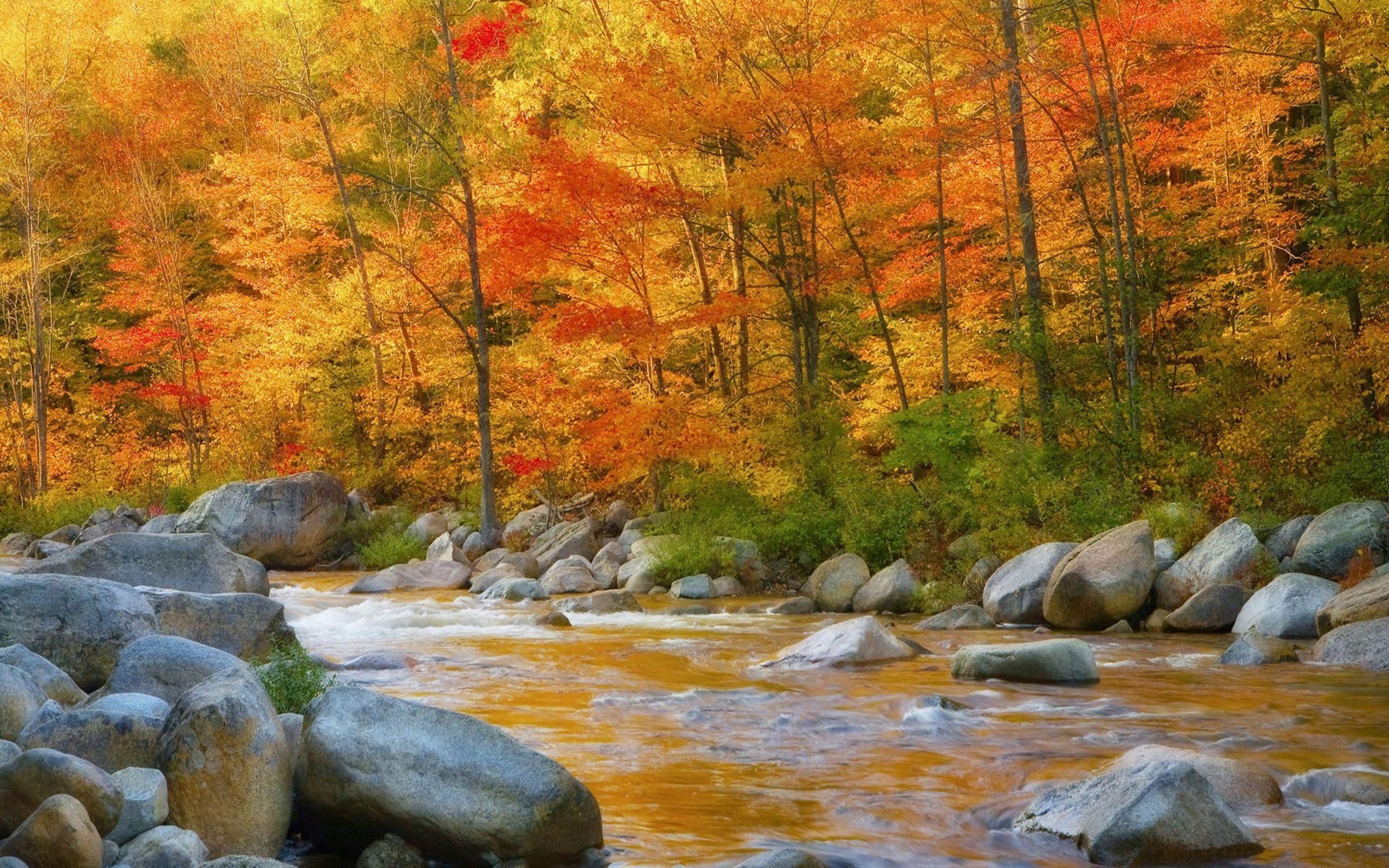 2560x1600 Autumn Sunset Rock Creek Wallpaper