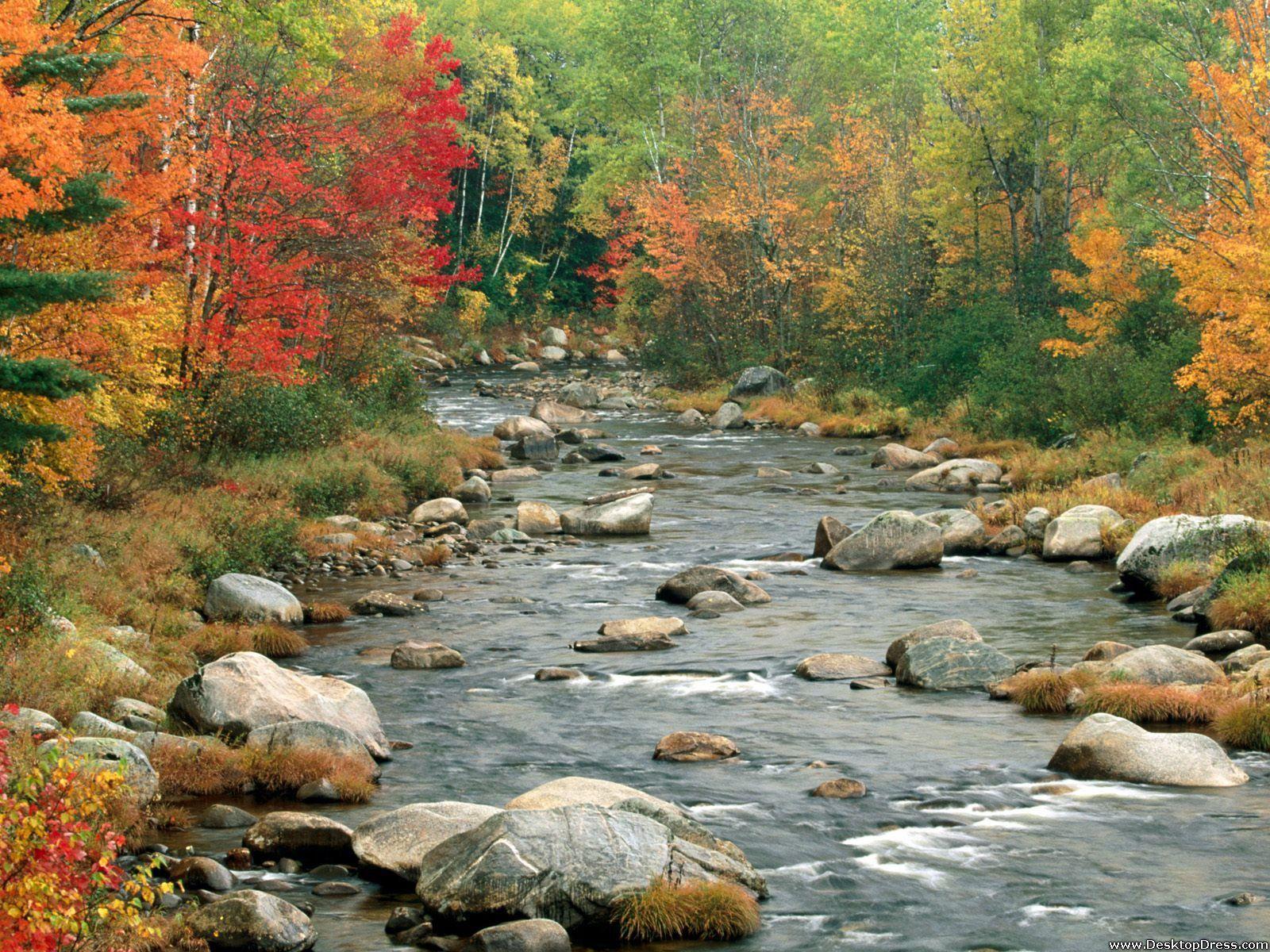 1600x1200 New Hampshire Wallpaper