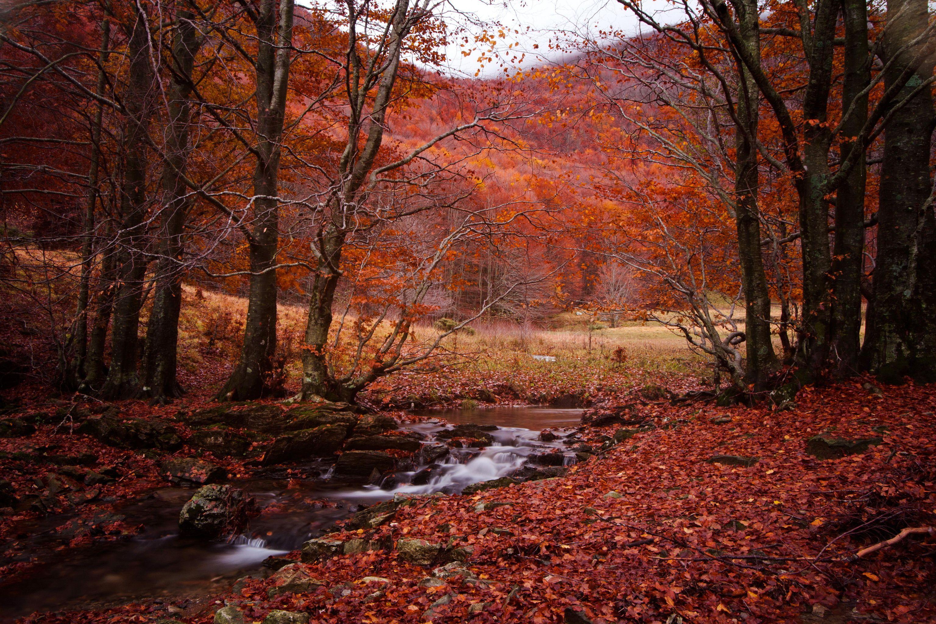 3072x2048 Seasons Autumn Stream Nature wallpaperx2048