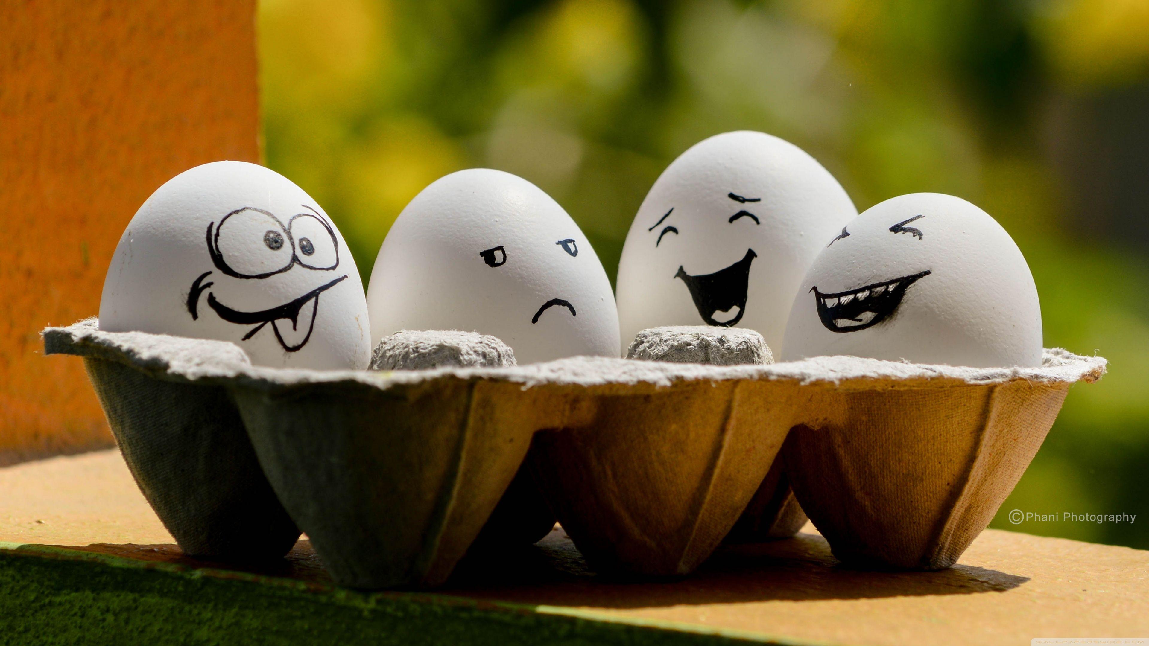 3840x2160 Funny Eggs Ultra HD Desktop Background Wallpaper for 4K UHD TV : Multi Display, Dual Monitor : Tablet