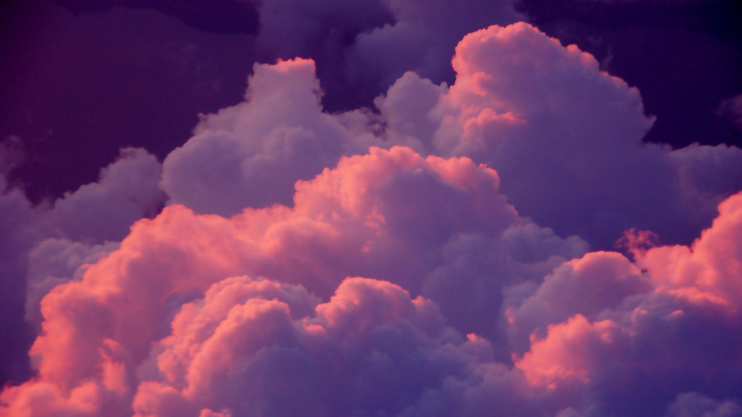 2560x1440 Las dos reinas es una cinta biográfica: Aesthetic Wallpaper Youtube