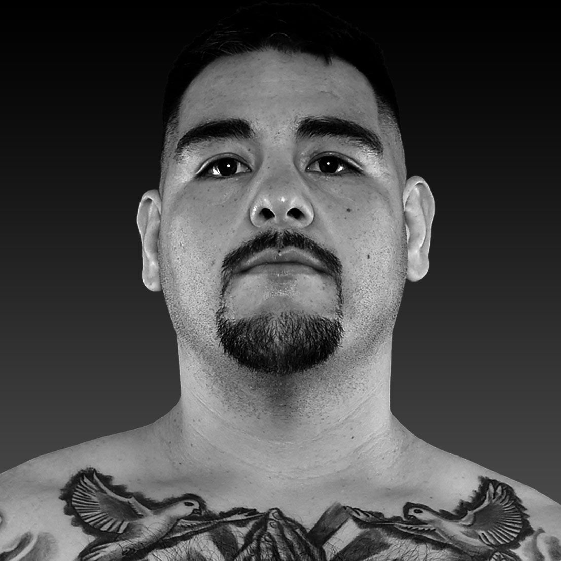 1106x1106 Andy Ruiz Jr. Fight, Fighter Bio, Stats & News