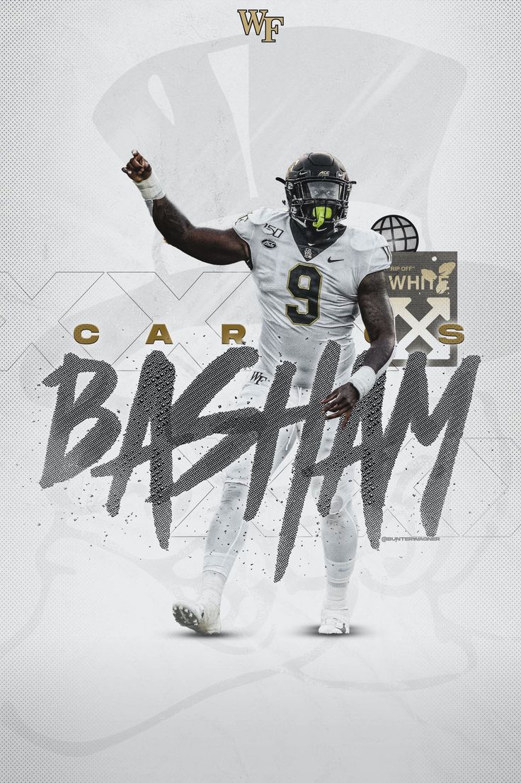 736x1105 Wake Forest