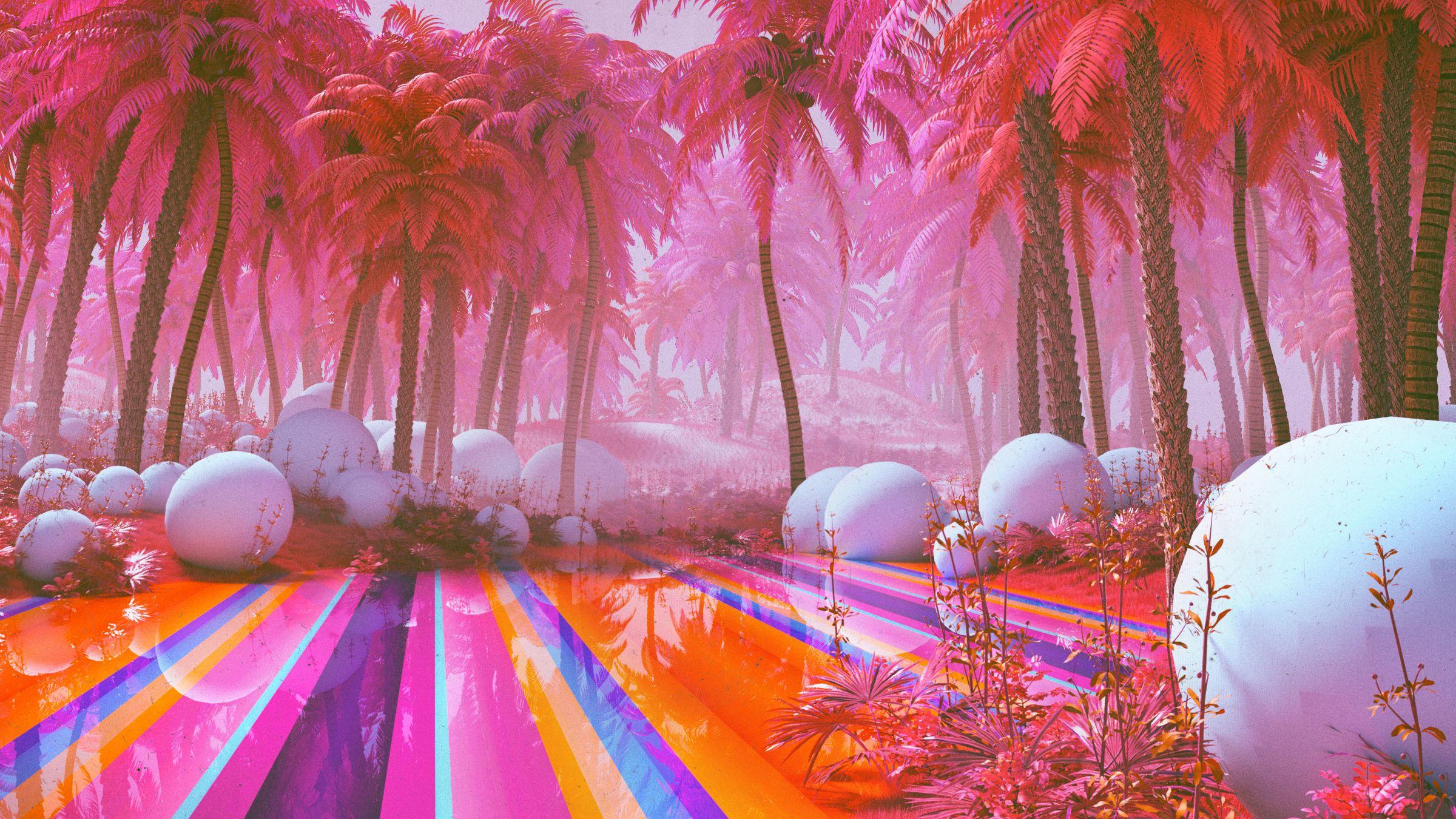 2400x1350 Aesthetic Palm Tree Header Wallpaper & Background Download
