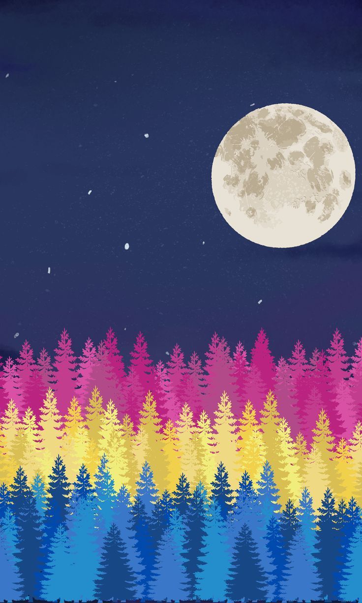 736x1226 Pansexual pride night sky scene