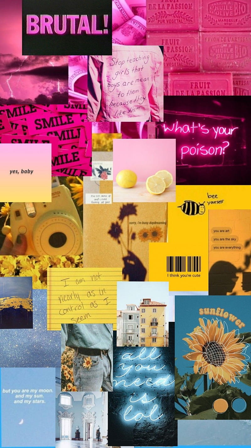 800x1424 Pansexual Pride, aesthetic, lgbtq, pans, quotes, subtle pride, HD phone wallpaper