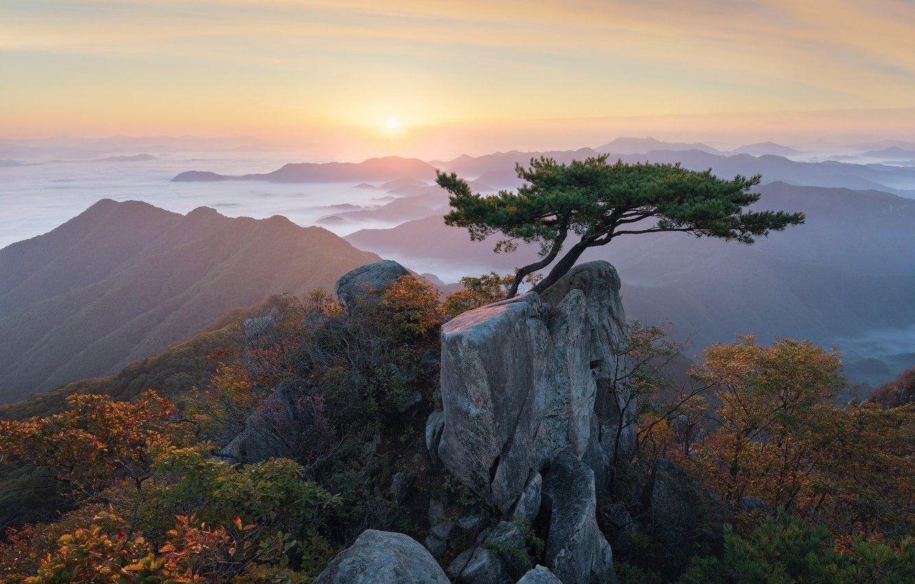 1332x850 Wallpaper clouds, landscape, mountains, nature, tree, dawn, morning, Korea, pine, reserve, bonsai image for desktop, section пейзажи