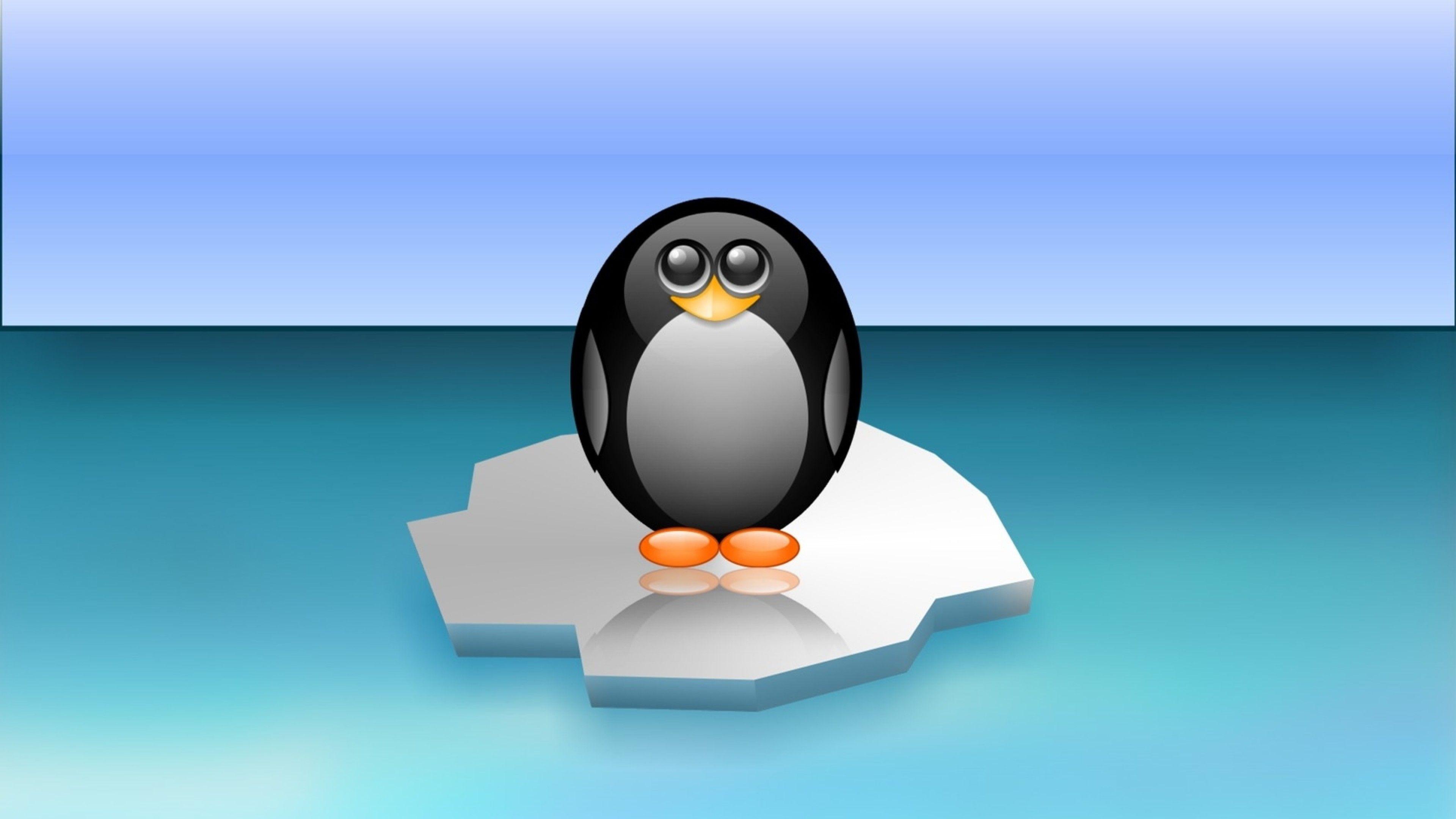 3840x2160 Funny and cute penguin HD Wallpaper 4K Ultra HD Wallpaper .net