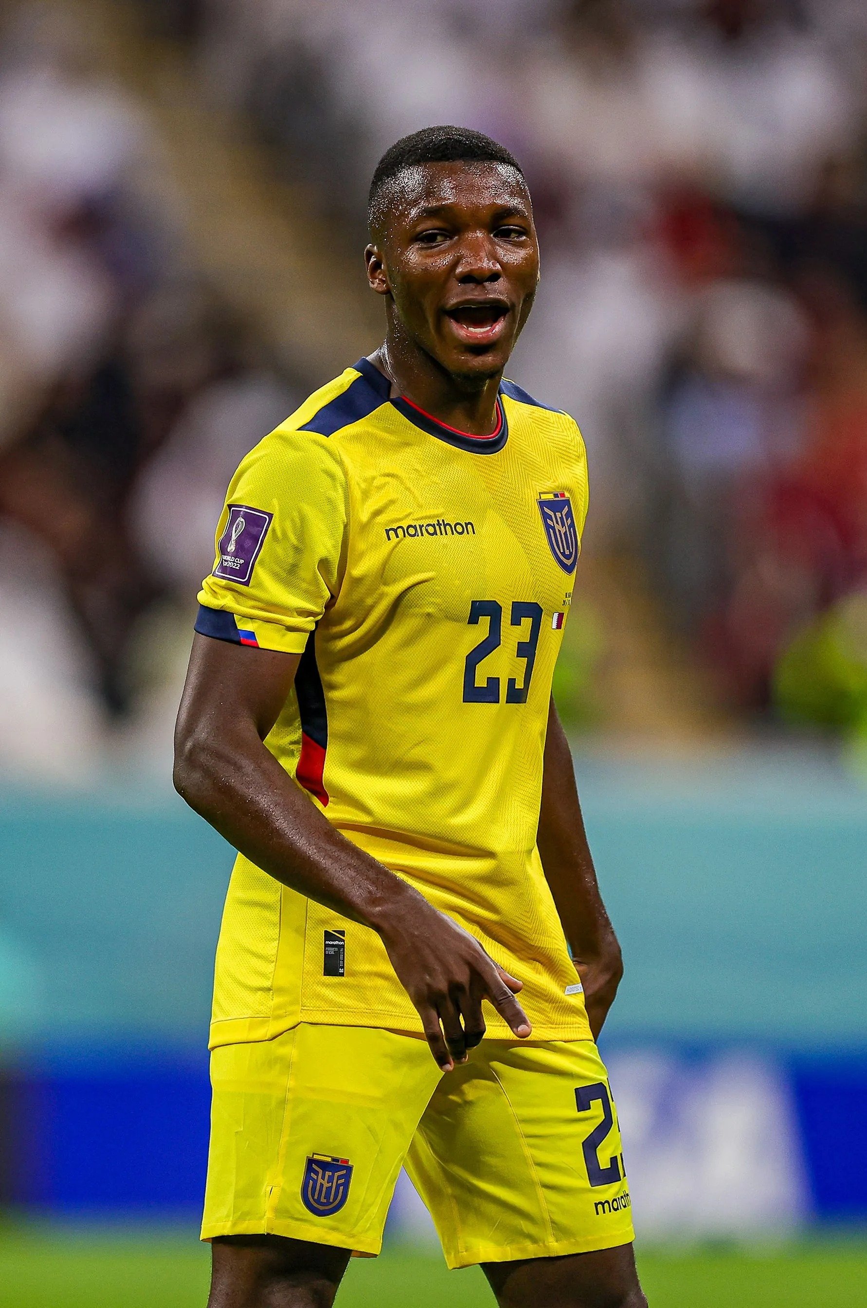 1782x2688 Moisés Caicedo Wallpaper