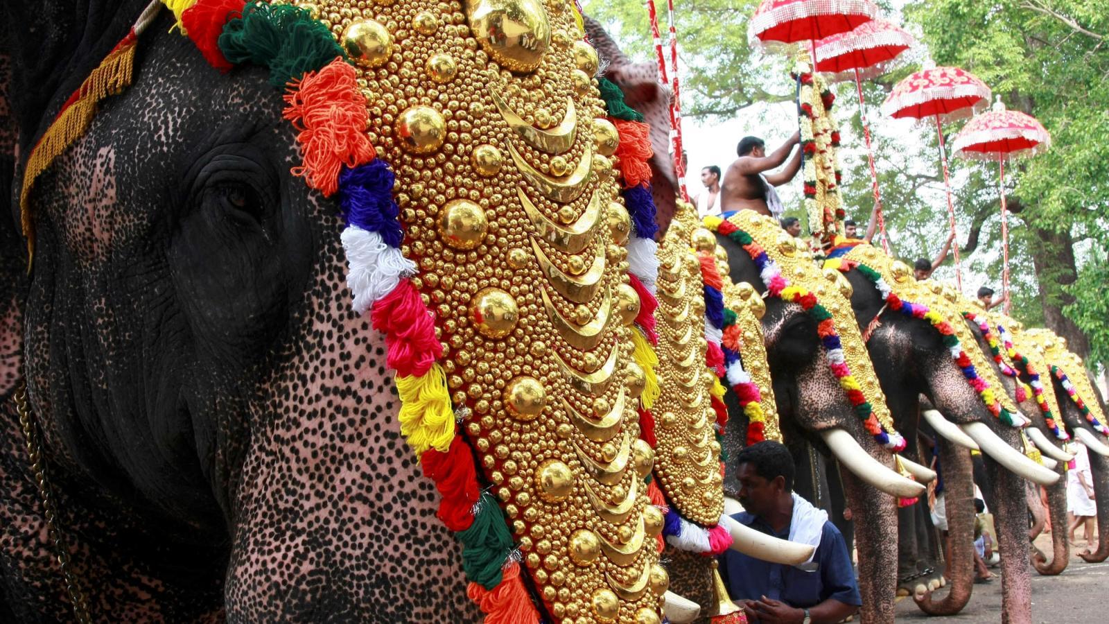 1600x900 India's Kerala state tweaks law to take over abused elephants