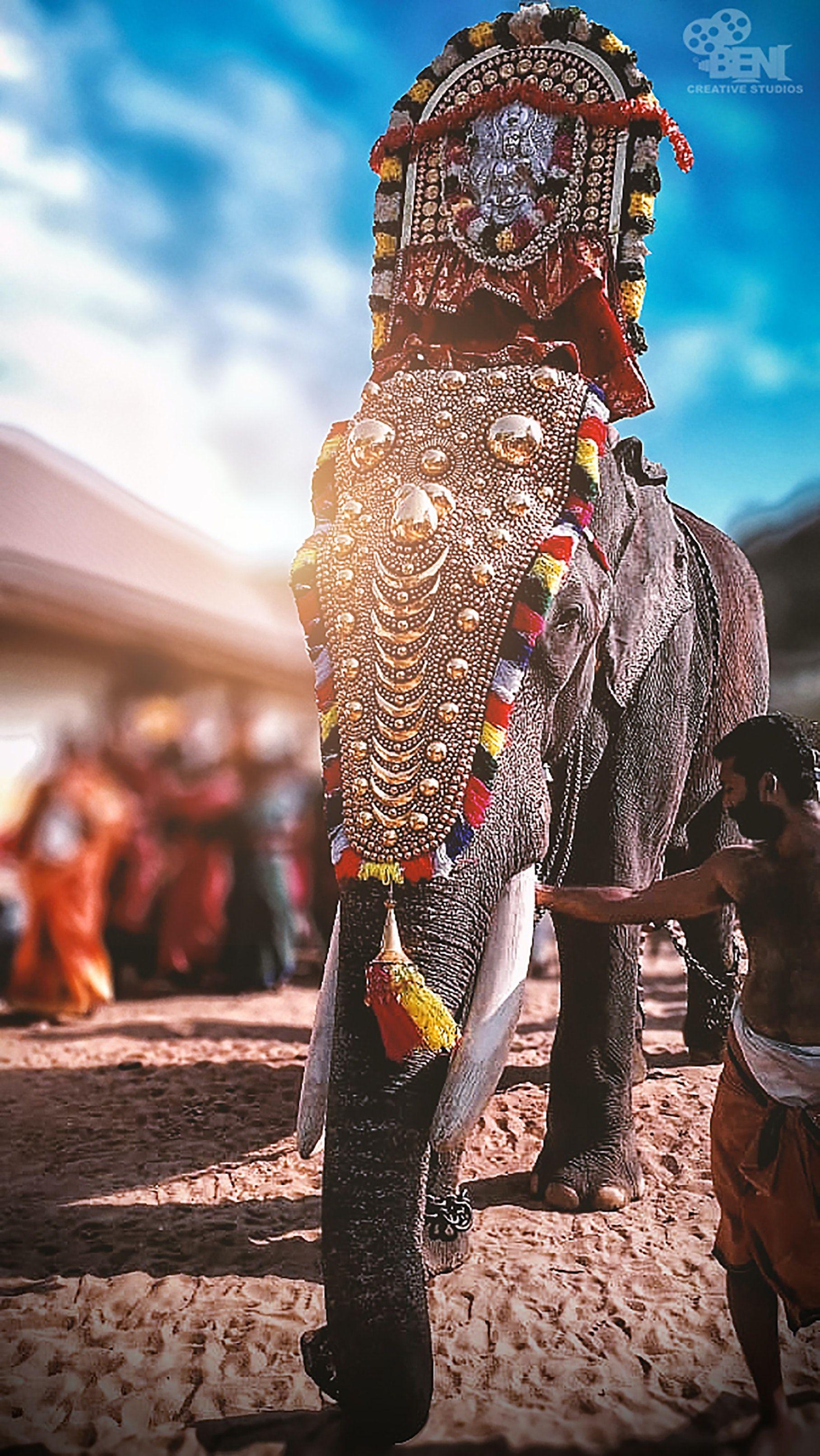 1816x3225 Kerala Elephant Wallpaper
