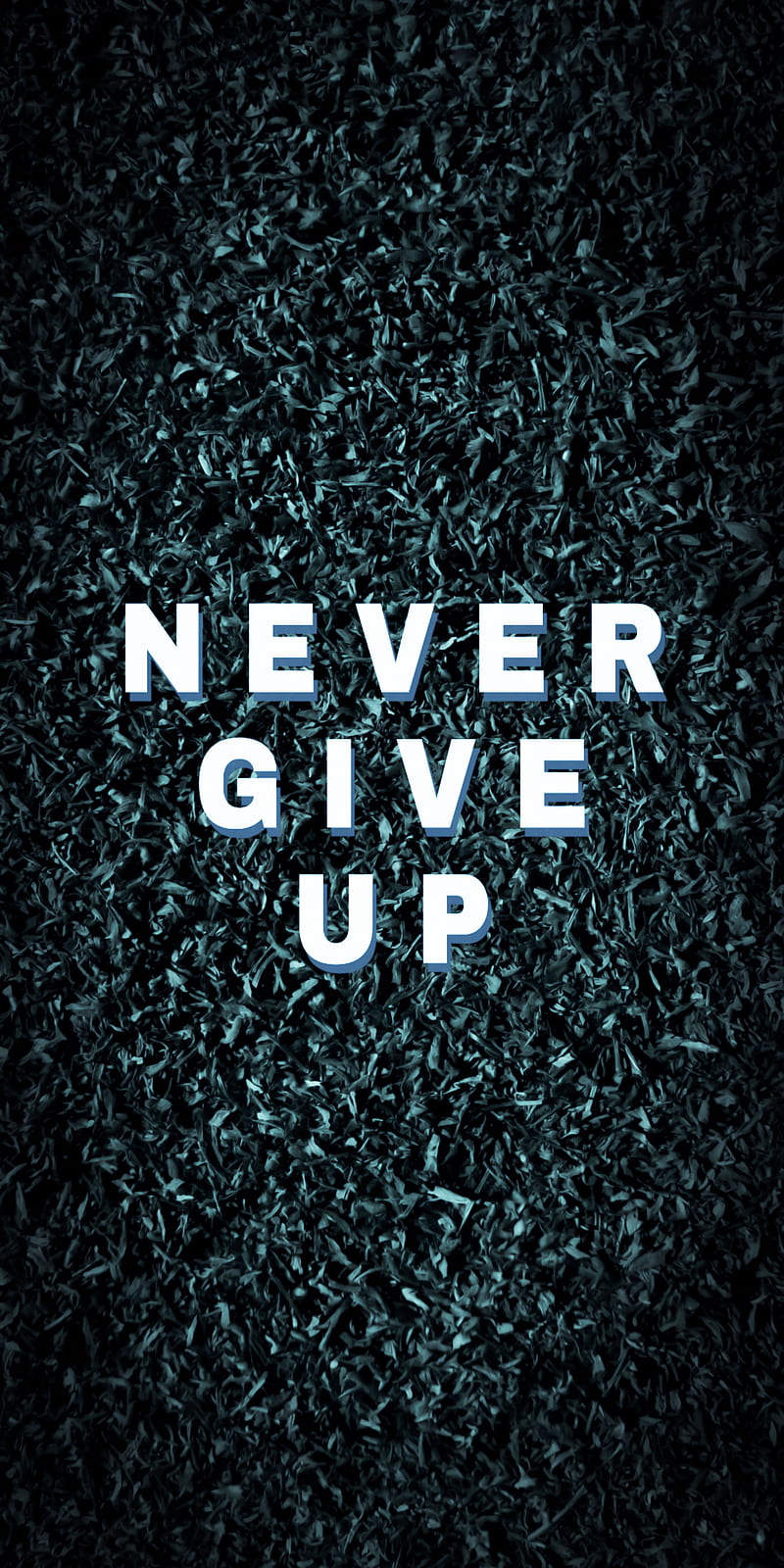 800x1600 Never give up, full screen, never give up, HD phone wallpaper